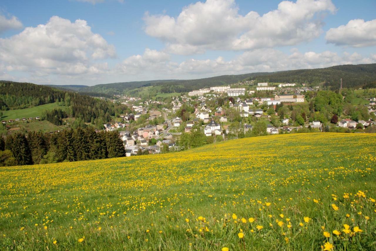 Ferienwohnung Koernerberg Klingenthal Exterior photo